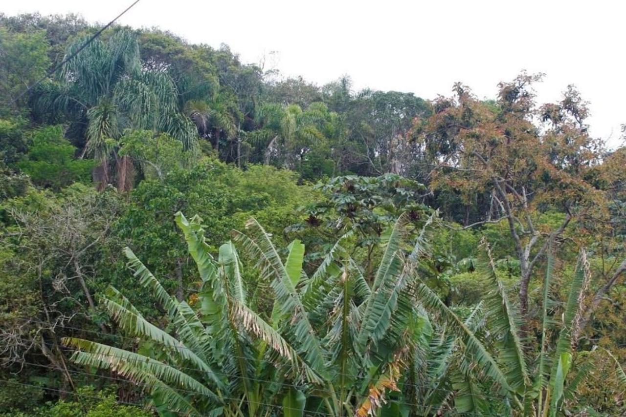 Apartamento Inteiro 3 Quartos No Condominio Solar Das Bromelias Bombinhas Buitenkant foto